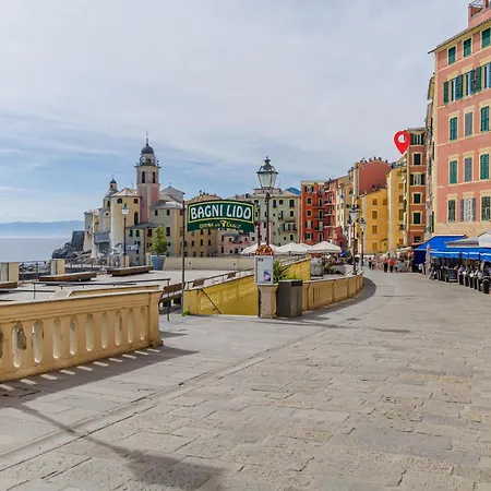 Cozy In With Wifi Camogli